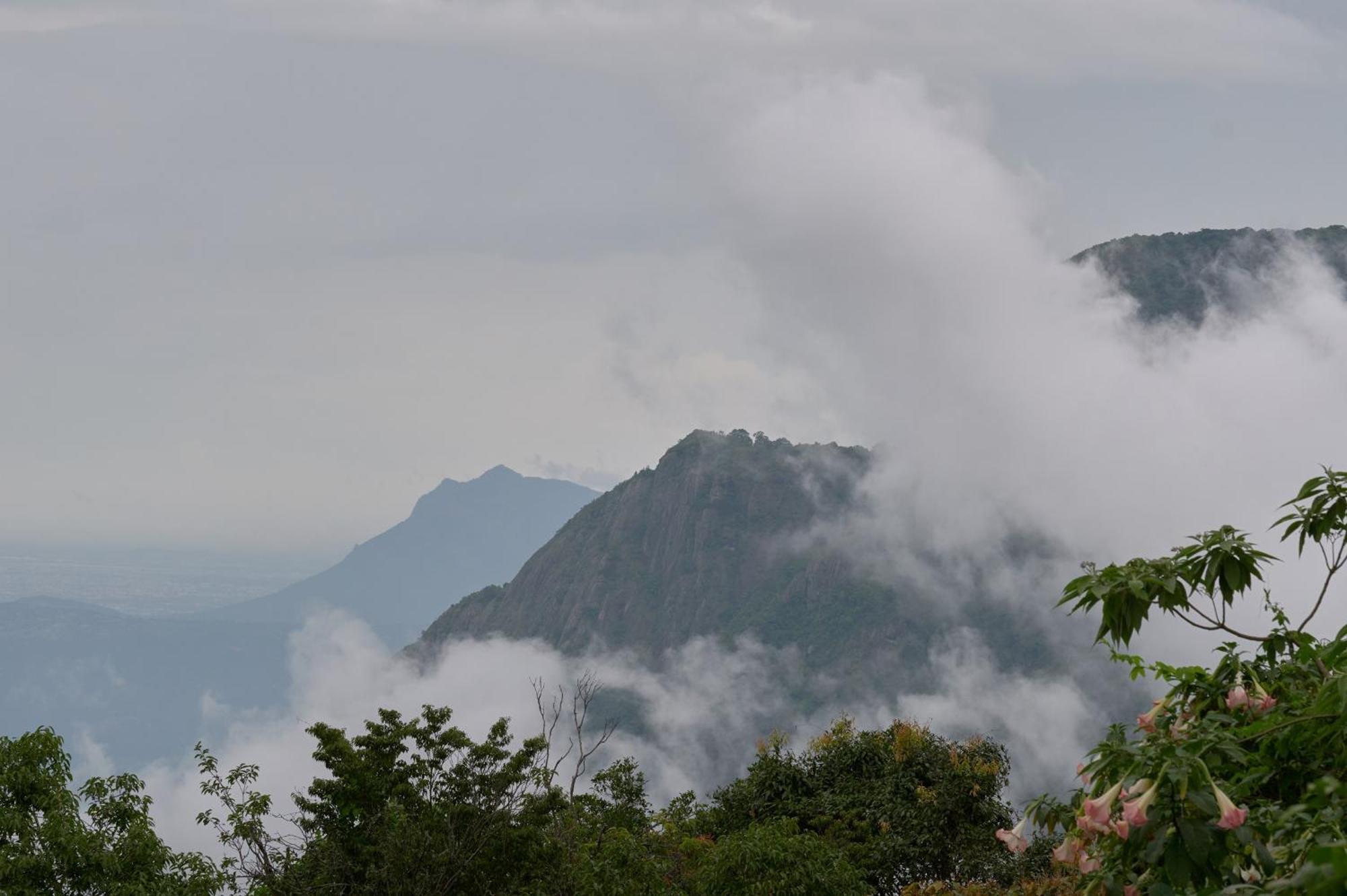 De Rock Jungle Living Resort Кунур Экстерьер фото